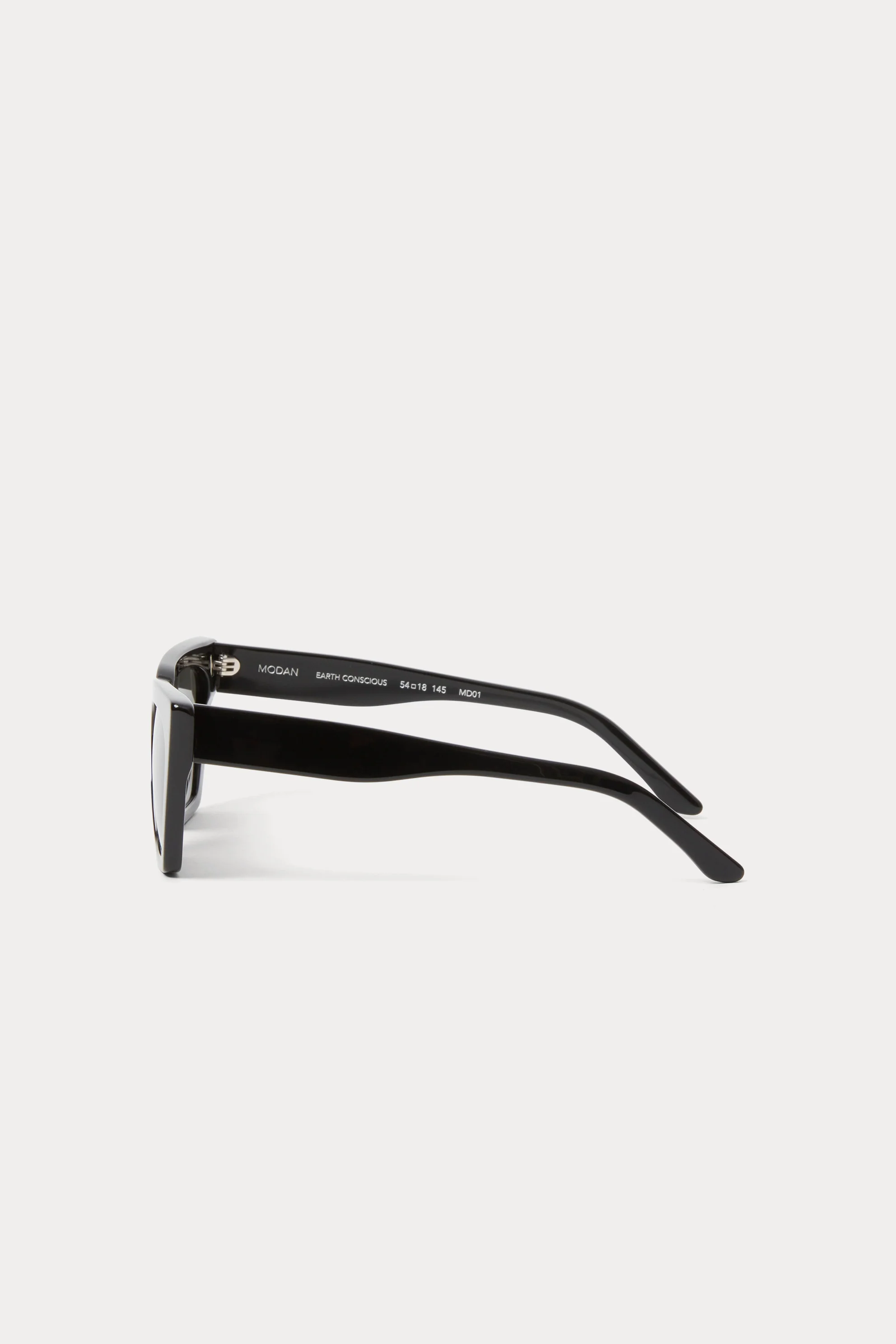 Modan Sunglasses - Image 6